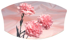 DNSWILL 022 Pink Carnation